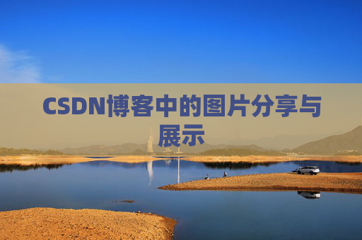 CSDN博客中的图片分享与展示